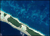 Coral Bleaching in French Polynesia