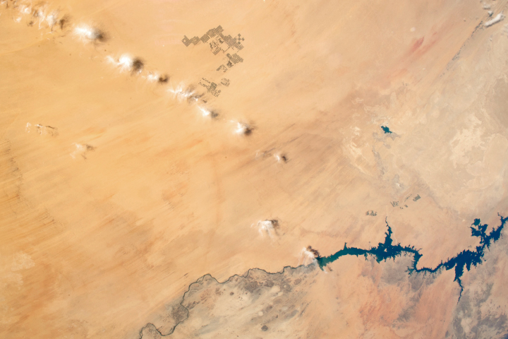 Agriculture in Egypt’s Western Desert