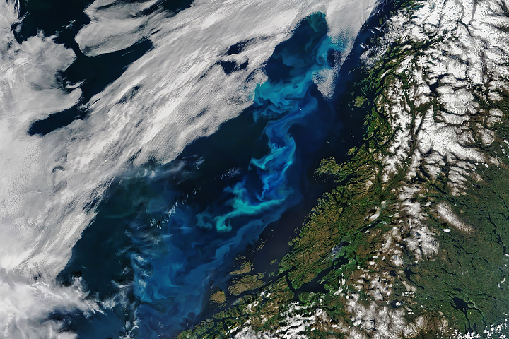 Beauty and a Burden in the Norwegian Sea