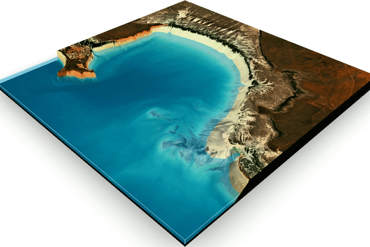Mapping the Land Between the Tides