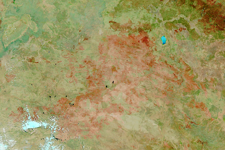 A New Global Fire Atlas