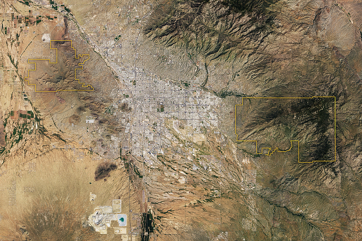 Saguaro National Park