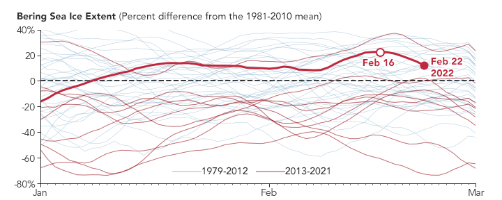 A Sea of Icy Variability - related image preview