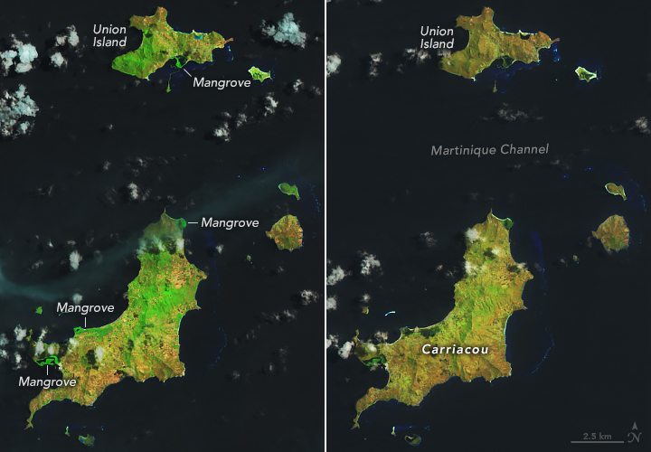 Carriacou After Beryl - related image preview