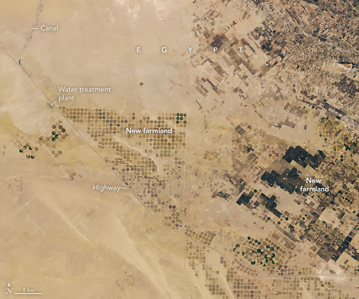 A “New Delta” in the Desert - related image preview