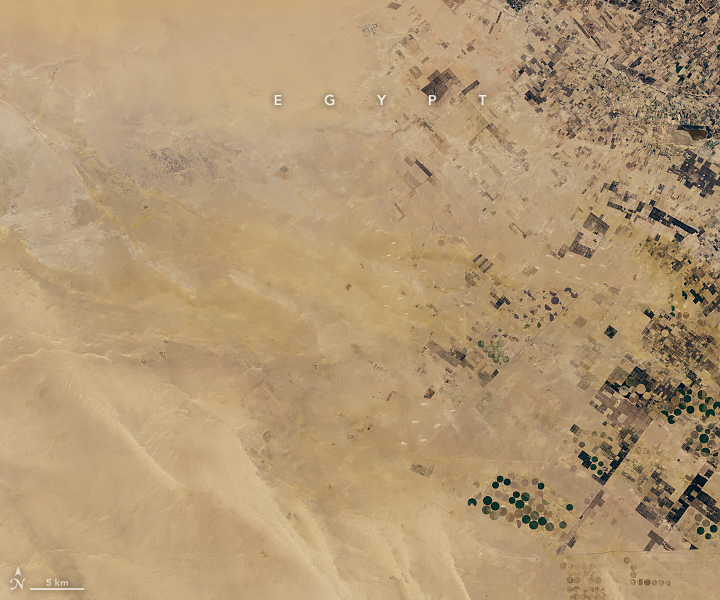 A “New Delta” in the Desert - related image preview