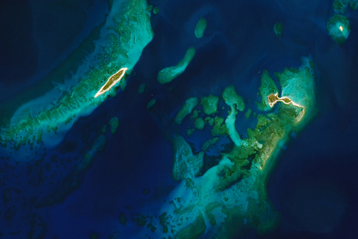 Sand, Stone, and Sea Life at Dry Tortugas