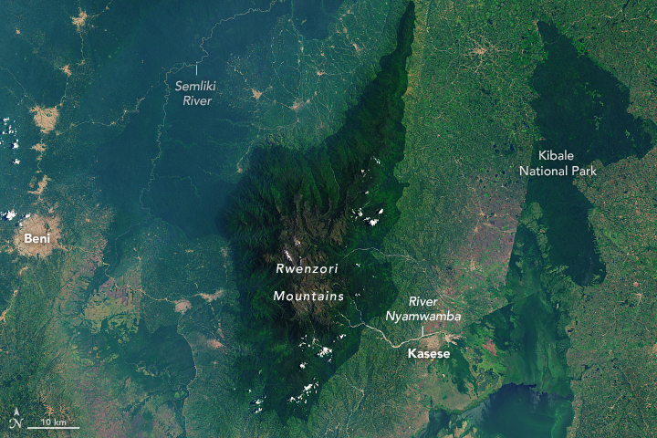 The Rwenzori Mountains are centered in the scene. Dark-green vegetation lies on the mountain flanks and transitions to more barren, brown land at higher elevations. Small patches of white snow and ice are visible on the tallest peaks. A network of thin brown rivers is visible to the left and right of the mountains.