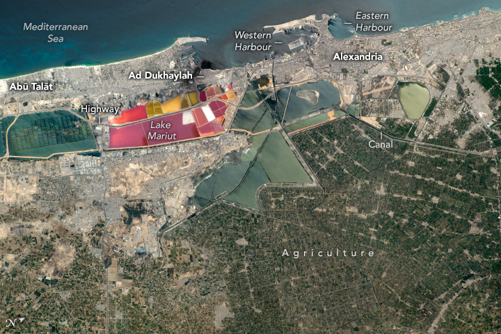 An astronaut aboard the International Space Station captured this detailed photograph looking down on Alexandria and the Egyptian coastline. Alexandria proper is part of a continuous urban area, visible as gray hues that stretch along the coastline and extend inland. The lower-right portion of the image is dominated by green agricultural land. One of the most vivid parts of the image is a collection of bright pink and yellow salt ponds in Lake Mariut.
