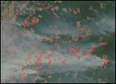 Fires in the Amazon