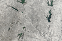 Snowy Dallas