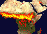 2005 Fire Patterns Across Africa