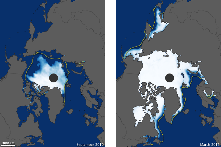 Arctic Sea Ice - related image preview
