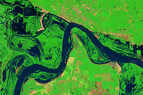 Lingering Floodwaters near Vicksburg, Mississippi