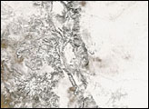 Colorado Snow