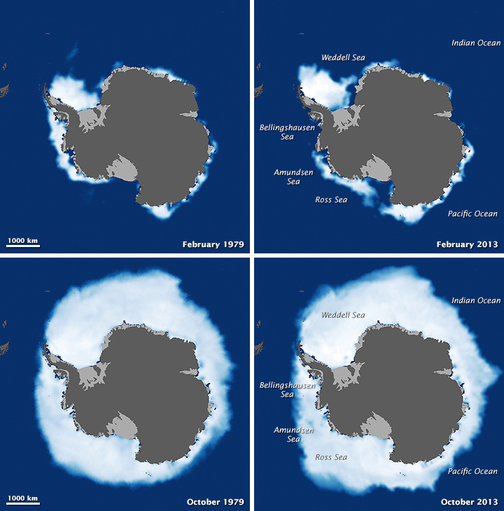 Despite Antarctic Gains, Global Sea Ice Is Shrinking - related image preview