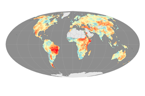Longer, More Frequent Fire Seasons