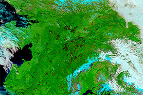 Alaska Charred 