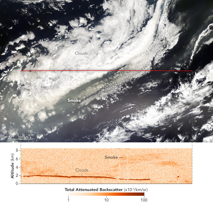 Satellites Capture Different Views of Devastating Fires in Chile - related image preview
