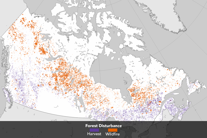 Tracking Forest Change in Canada - related image preview